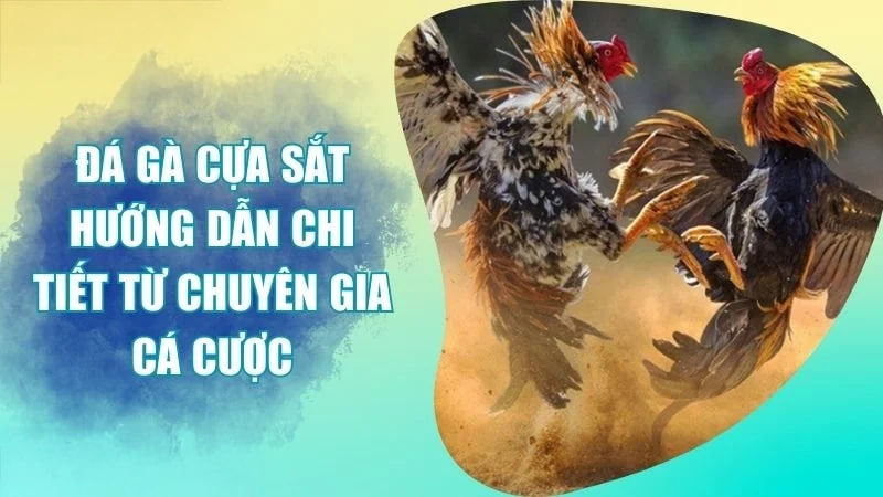 Đá Gà Cựa Sắt